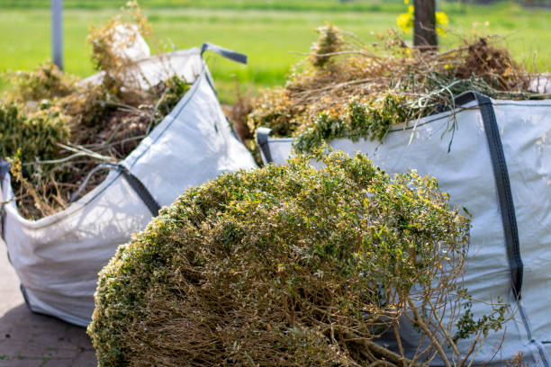 Best Furniture Removal  in Clarion, IA